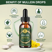 Lion's Mane Brain Blend – Clear Perimenopause Brain Fog & Sharpen Memory
