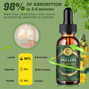 Lion's Mane Brain Blend – Clear Perimenopause Brain Fog & Sharpen Memory